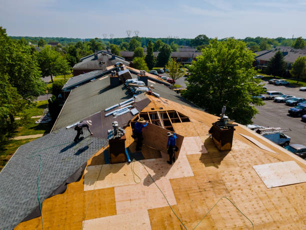 Best Roof Restoration Services  in Chauvin, LA