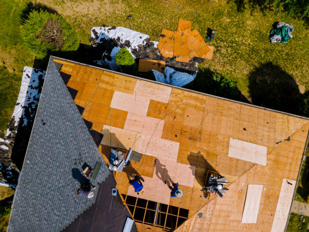 Best Gutter Installation and Roofing  in Chauvin, LA